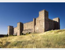 Castillo medieval de piedra con murallas almenadas y varias torres cuadradas, situado sobre una ladera cubierta de hierba seca. El edificio se recorta contra un cielo azul despejado, con el terreno abierto en primer plano.