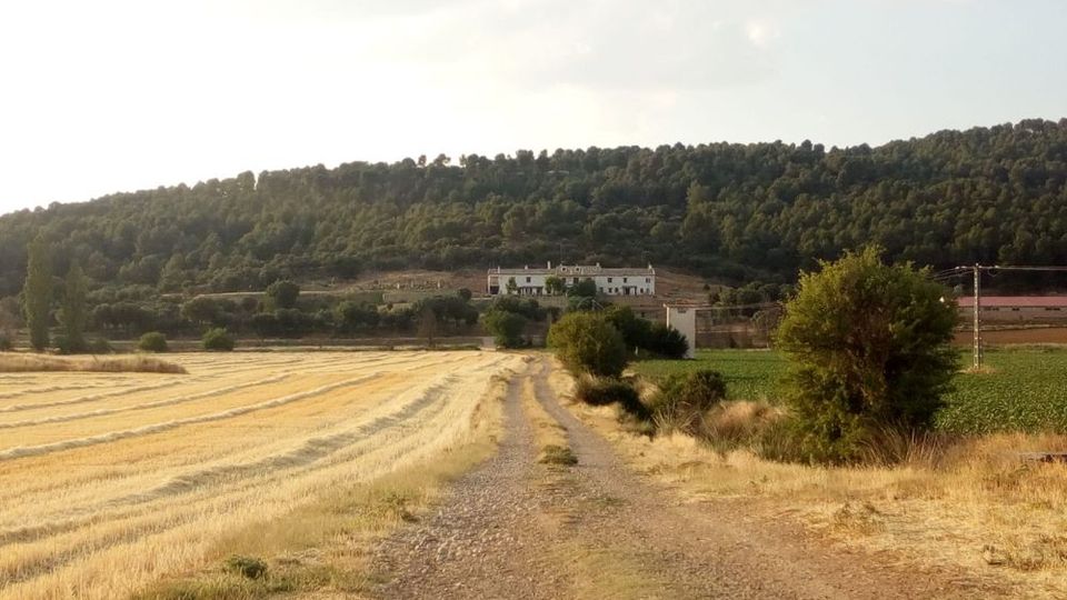 Camino de tierra entre campos de cultivo, con una parcela segada a la izquierda y vegetación baja a la derecha. Al fondo se ven edificios rurales dispersos y una ladera cubierta de bosque bajo un cielo claro.