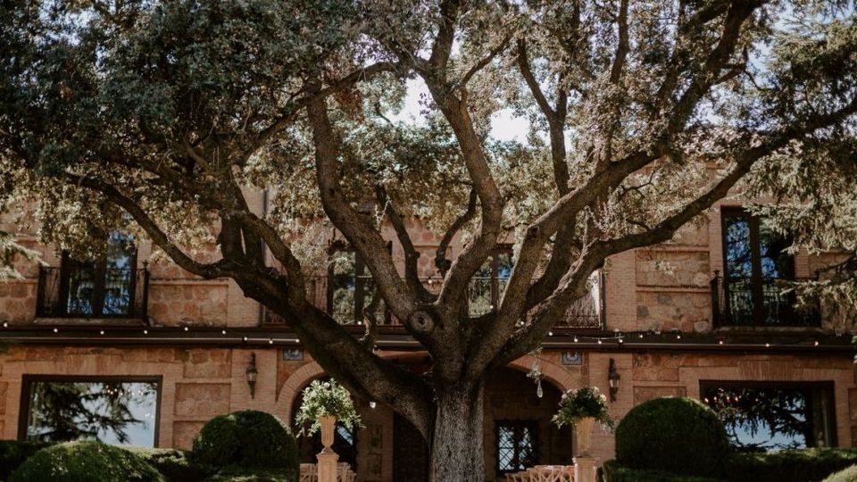 Gran árbol de copa extendida frente a una casa de piedra de dos plantas con balcones, arcos en la entrada y ventanas grandes. Jardín cuidado con setos redondeados, camino central y guirnaldas de luces colgadas bajo las ramas.