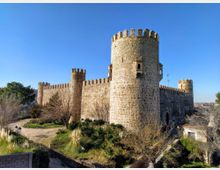 Castillo medieval de piedra con murallas almenadas y varias torres cilíndricas, destacando una torre principal alta en primer plano. Está rodeado de vegetación y senderos en una colina, bajo un cielo azul despejado.